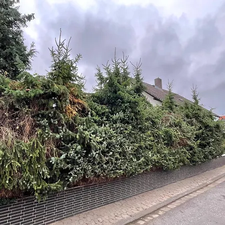 Yolki Haus Moderne Apartments, Nahe Woelfersheimer Apartamento *