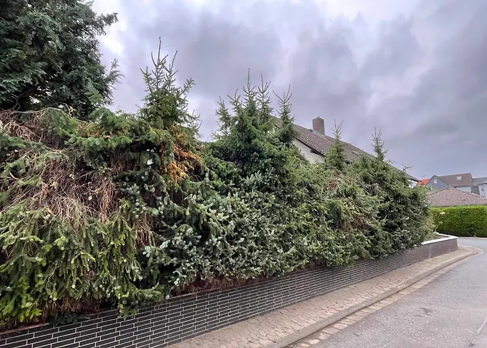 Yolki Haus Moderne Apartments, Nahe Woelfersheimer דירה *